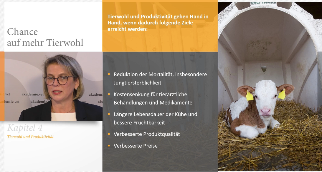 Odoo – Beispiel 2 für drei Spalten