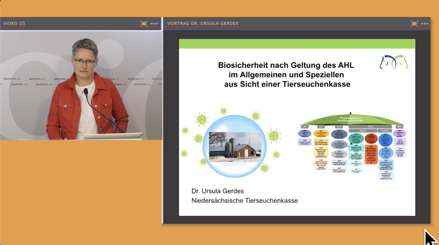 Odoo-Bild für Slider