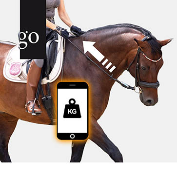 Zügelhilfen und Zügelkräfte