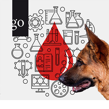 Labordiagnostik: Spurensuche Hämatologie