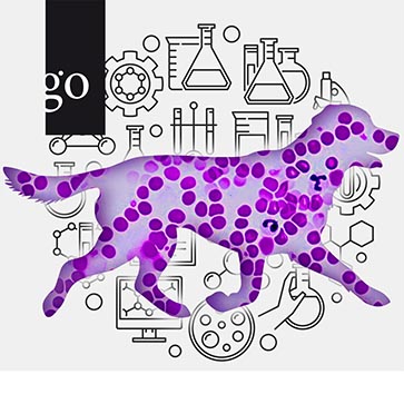 Digitale Konferenz: Hämatologie in der Kleintier-Diagnostik