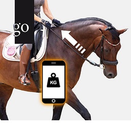 Zügelhilfen und Zügelkräfte