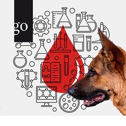 Labordiagnostik: Spurensuche Hämatologie