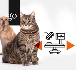 Anästhesie beim Patienten mit Diabetes mellitus